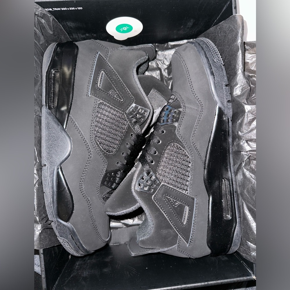 Jordan 4 black cats